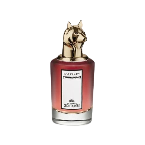 The Coveted Duches Rose