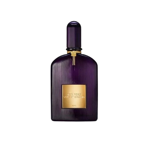 Velvet Orchid